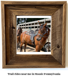 trail rides near me in Moosic, Pennsylvania